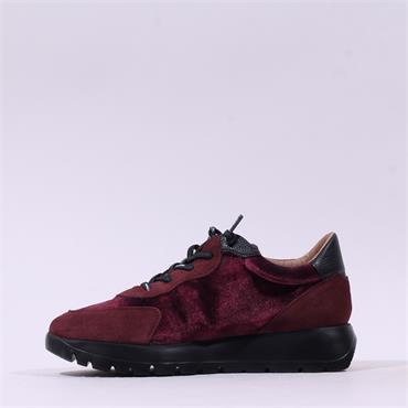 Wonders Odisei Two Tone Bungee Trainer - Burgundy Velvet